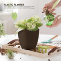 Plant Pots Indoor with Drainage, 5 Pack Multi-Size Planters Set, Brown Pack of 5 Brown