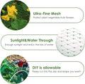 Ruolan Bird Netting for Garden Protect Vegetable Plants and Fruit Trees13X20Ft,Plastic Trellis Netting for Birds, Deer,Squirrels and Other Animals