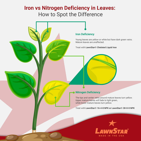 LawnStar Liquid Iron (32 OZ) for Plants - Multi-Purpose, Suitable for Lawn, Flowers, Shrubs, Trees - Treats Iron Deficiency, Root Damage & Color