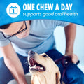 Purina DentaLife Made in USA Facilities Large Dog Dental Chews, Daily - 18 ct. Pouch 18 Count (Pack of 1)