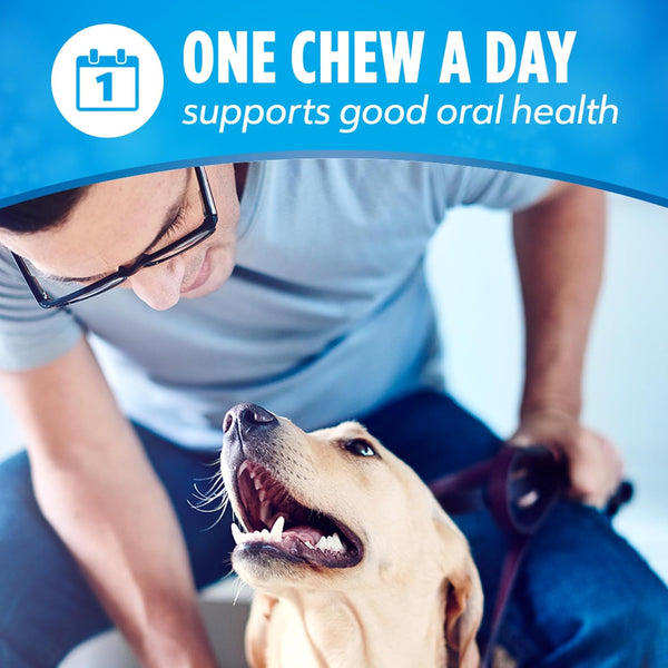 Purina DentaLife Made in USA Facilities Large Dog Dental Chews, Daily - 18 ct. Pouch 18 Count (Pack of 1)
