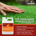 LawnStar Liquid Iron (32 OZ) for Plants - Multi-Purpose, Suitable for Lawn, Flowers, Shrubs, Trees - Treats Iron Deficiency, Root Damage & Color