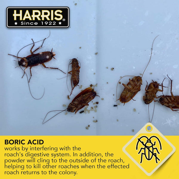 HARRIS Boric Acid Roach and Silverfish Killer Powder w/Lure for Insects (16oz) Pack of 1