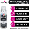 Tulip Colorshot Instant Fabric Spray Color 3Oz. Black