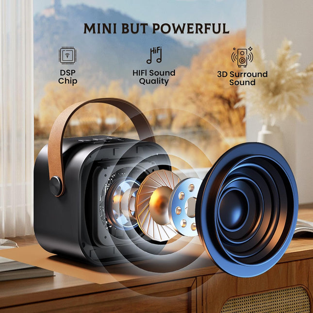 IROO Mini Karaoke Machine for Kids Adults(Karafun Premium), Portable MP3 Player with 2 Wireless Mics and Party Lights fo