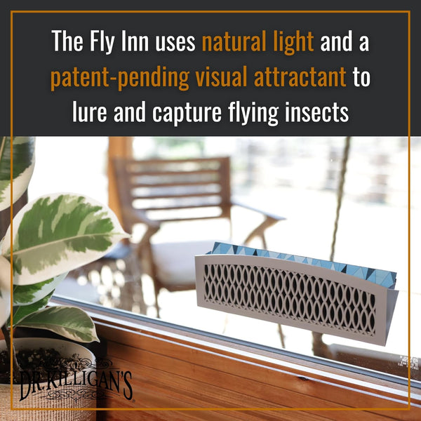 Dr. Killigan's The Fly Inn | Sticky Window Traps | Indoor Insect Trap | Catches and Hides Bugs | Better Than Fly Paper or Ribbon | Get Rid of