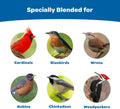Kaytee Wild Bird Gourmet Seed Cake For Cardinals, Chickadees, Juncos, Titmice, Woodpeckers and More, 2 Pounds 2 Pound (Pack of 1) Gourmet, 1 Count