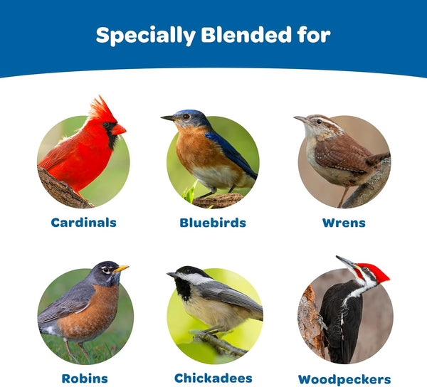 Kaytee Wild Bird Gourmet Seed Cake For Cardinals, Chickadees, Juncos, Titmice, Woodpeckers and More, 2 Pounds 2 Pound (Pack of 1) Gourmet, 1 Count