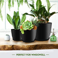 Plant Pots Indoor with Drainage, 5 Pack Multi-Size Planters Set, Black Pack of 5 Black