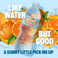 SPLASH REFRESHER Flavored Water Bottles, Mandarin Orange Flavor - 6-Pack, 16.9 Fl Oz - Refreshing Flavored Bottled Water with Electrolytes - Zero