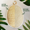 YIQINGJIE Natural Loofah Sponge Exfoliating Body Scrubber (3 Pack) Beige Beige 1 Count (Pack of 3)