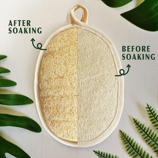 YIQINGJIE Natural Loofah Sponge Exfoliating Body Scrubber (3 Pack) Beige Beige 1 Count (Pack of 3)