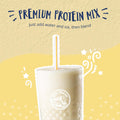 Big Train Fit Frappe Chocolate Protein Beverage Mix, 3 Pound (Pack of 1)