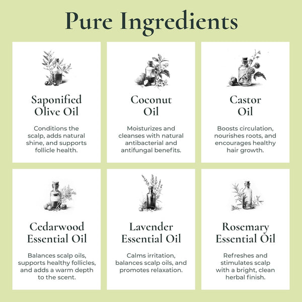 J.R.LIGGETT'S Shampoo Bar Herbal Formula, All-Natural Solid Hair Cleanser, Plant-Based Dry Bar Shampoo with Antioxidant-Rich Plant Oils, Promotes
