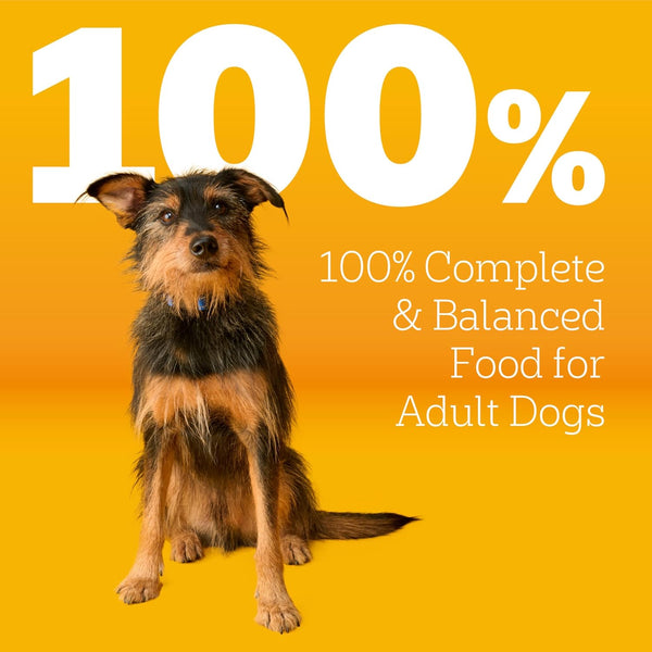 Pedigree Complete Nutrition Adult Dry Dog Food, Grilled Steak & Vegetable Flavor, 18 Lb. Bag
