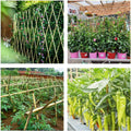Cambaverd Bamboo Stakes 4ft Natural Plant Stakes for Tomatoes, Beans, Climbing Plants Support - 25 Pack Bamboo Sticks for Plants 4 FT-25PACK