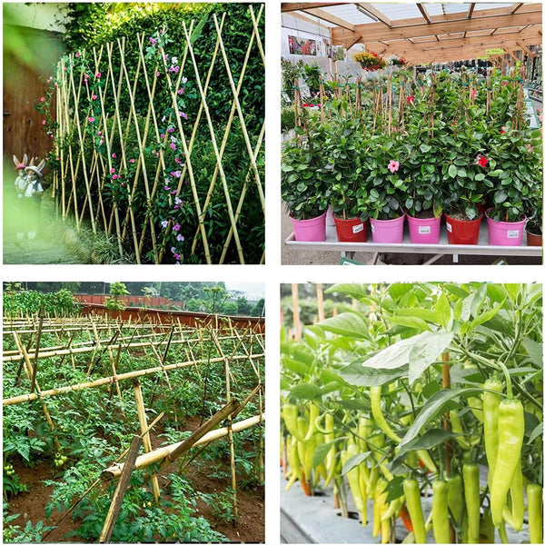 Cambaverd Bamboo Stakes 4ft Natural Plant Stakes for Tomatoes, Beans, Climbing Plants Support - 25 Pack Bamboo Sticks for Plants 4 FT-25PACK