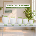 Plant Pots Indoor with Drainage, 5 Pack Multi-Size Planters Set, White Pack of 5 White