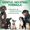Vet's Best Dog Ear Relief Wash, No-Alcohol, Wax Control, No-Sting, 16 oz | Alcohol-Free Ear Cleanser, Helps Remove Wax & Debris, Controls Odors &