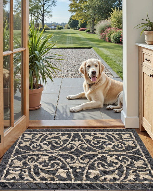 DEXI Front Door Mat Indoor Entryway 20x32 Inside Entrance Doormat Dark Gray | Non Slip Low Profile Thin Washable Welcome Entry Mats for House