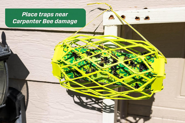 Rescue! Carpenter Bee Trapstik Ã¢ÂÂ Also Works on Wasps, Mud Daubers - 2 Traps