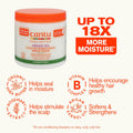 Cantu Argan Oil Leave in Conditioning Repair Cream, 16 Ounce 16 Ounce (Pack of 1)