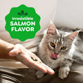 Greenies Feline Smartbites Skin & Fur Health Cat Treats, Salmon, 2.1 oz | Fish oil & flaxseed, omega-3 fatty acids, no artificial flavors or