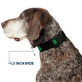 Buckle-Down 6-9" St. Pat'S Black/Green Plastic Clip Collar, Narrow Small 1/2" Wide - Fits 6-9" Neck - Small