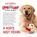 Multipet Lamb Chop Dog Plush Toy - Squeaky Toy for All Dogs - Extra Soft Plush - Stuffed Animal Dog Toy for Cuddling & Playing - Cute Pet Toy (6",
