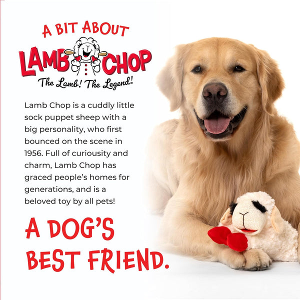 Multipet Lamb Chop Dog Plush Toy - Squeaky Toy for All Dogs - Extra Soft Plush - Stuffed Animal Dog Toy for Cuddling & Playing - Cute Pet Toy (6",
