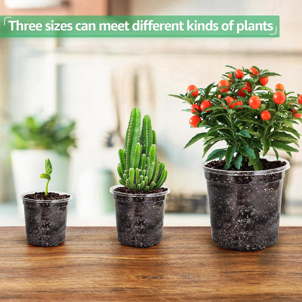 Bluepro 36 Packs 5/4/3.5 Inch Reinforced Clear Nursery Pots with Drainage Hole, Transparent Variety Pack Plastic Plant Pot Seedling Planter for