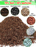 TOYPOPOR Leca Clay Pebbles for Plants, (3 Quarts) Leca Balls, Lightweight Clay Ball, Potting Mix, Grow Media Used for Drainage, Decoration,
