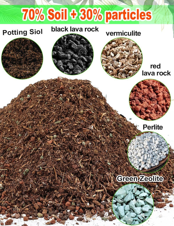 TOYPOPOR Leca Clay Pebbles for Plants, (3 Quarts) Leca Balls, Lightweight Clay Ball, Potting Mix, Grow Media Used for Drainage, Decoration,