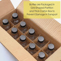 10 Pack, 4 oz Small Clear Glass Bottles w/Lids & 3 Stainless Steel Funnel - 120ml Boston Round Sample Bottle for Potion, Juice, Ginger Shot,