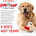 Multipet Lamb Chop Dog Plush Toy - Squeaky Toy for Small & Medium Dogs - Extra Soft Plush - Stuffed Animal for Cuddling & Playing (10", Cream, 5