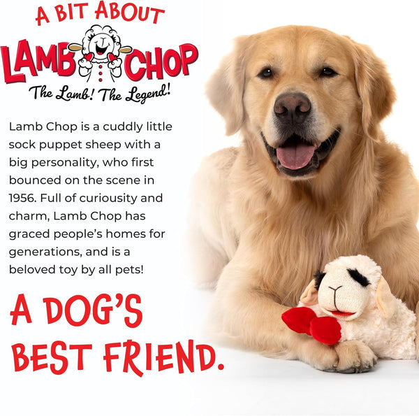 Multipet Lamb Chop Dog Plush Toy - Squeaky Toy for Small & Medium Dogs - Extra Soft Plush - Stuffed Animal for Cuddling & Playing (10", Cream, 5