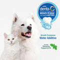 Nylabone Advanced Oral Care Pet Dental Water Additive, Liquid Tartar Remover & Breath Freshener for Dogs, Dog Teeth-Cleaning, Peppermint Flavor,