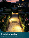 Linkind Starray Solar Spot Lights Outdoor, IP67 Waterproof Dusk-To-Dawn Landscape Spotlights, 3 Modes Solar Lights Outdoor for Garden, Yard,