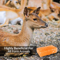 100% Natural Himalayan Rock Deer Salt Licking Block - Animal Licking Mineral Salt Block, Natural Feed Salts Bricks For Deer and Livestock Animals