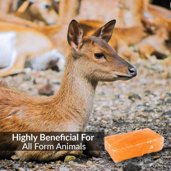 100% Natural Himalayan Rock Deer Salt Licking Block - Animal Licking Mineral Salt Block, Natural Feed Salts Bricks For Deer and Livestock Animals