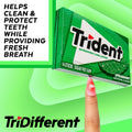 Trident Spearmint Sugar-Free Gum, 12 Packs of 14 Pieces (168 Total Pieces) Spearmint 14 Count (Pack of 12)