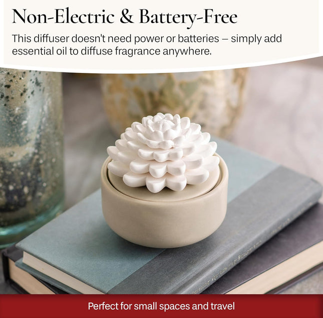 AiromÃ© White Succulent, Porcelain Passive Essential Oil Diffuser (With 15Ml Peppermint Essential Oil) â Non-Electric,