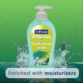 Softsoap Antibacterial Liquid Hand Soap, Fresh Citrus Scent, 11.25 fl oz (6 Pack) Fresh Citrus 11.25 Fl Oz (Pack of 6)