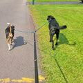 5 FT Double Dog Leash Coupler, Extension Rope for Two Dogs Walking, No Tangle Dual Strong Dog Lead Splitter, for Large Medium Dogs (3/8" X 1.5m