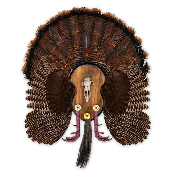 Ultimate Turkey Plaque by Illusion | Turkey Mounting Kit | Rustic Wall Mount Display Plaque | European Turkey Skull Included | Turkey Beard, Fan,