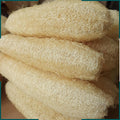 10 Pcs (5 – 7 Inches) Shower Loofah Exfoliating Body Scrubber | Natural Loofah Sponge | Bath for Loofah for Men and Women | Pack of 10 1 Count