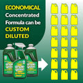 Simple Green Allpurpose Cleaner Spray and Refill, Green, 3 Piece Set, Original, 1 Count