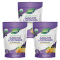 Nature's Way Sambucus Zinc Lozenges With Elderberry and Vitamin C, Honey Lemon Flavor, 24 Lozenges (3 Pack) 24 Count (Pack of 3)