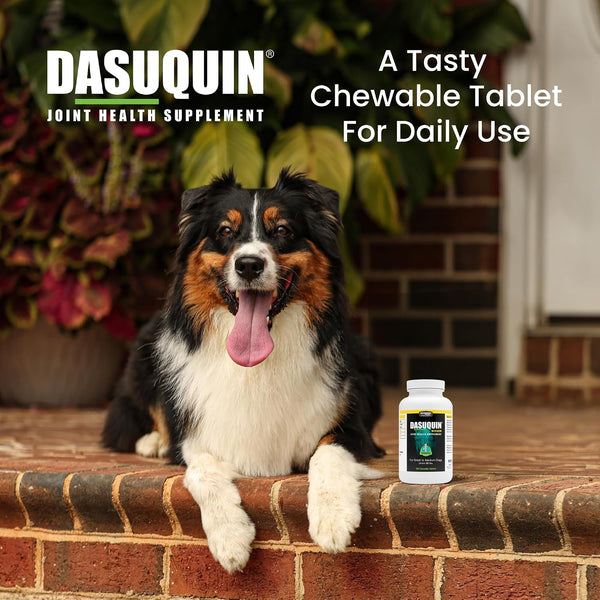 Nutramax Dasuquin MSM Joint Supplement, Small/Med Dogs, Chew Tablets150ct | Glucosamine and Chondroitin, Chewable Tablets for Dogs under 60 lbs,