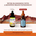 Herbs Etc. Deep Sleep Classic Liquid Extract - Herbal Supplement for Natural & Gentle Sleep Support - Restful Sleep Supplement with Passionflower,